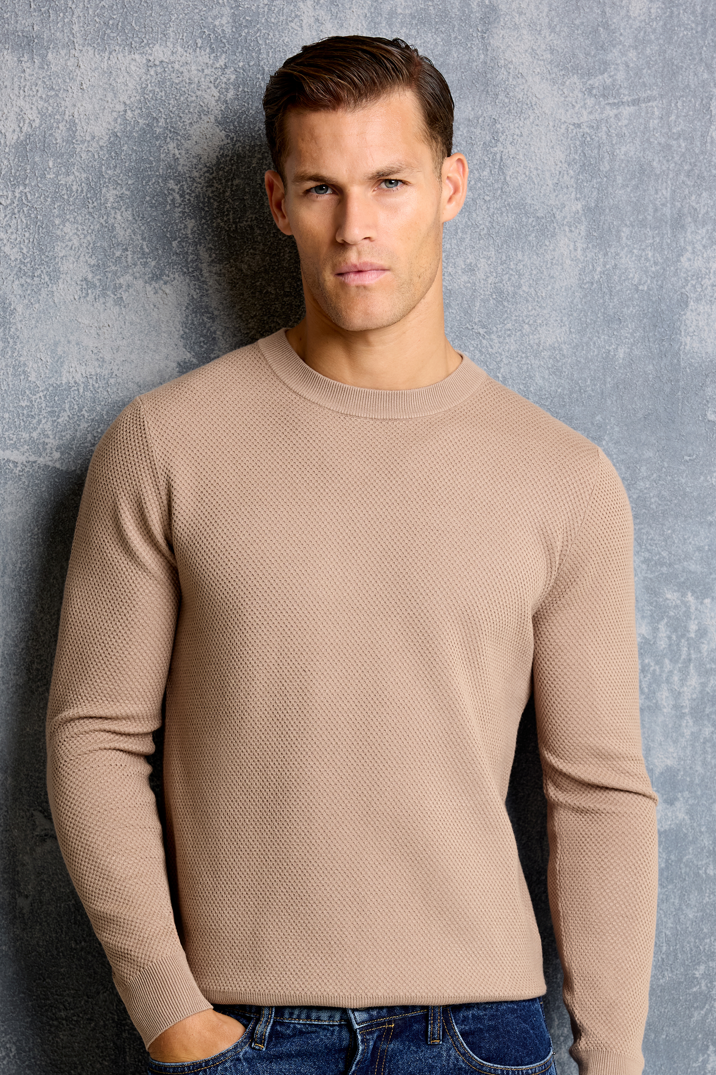 LE PULL COL ROND FABIO ✅